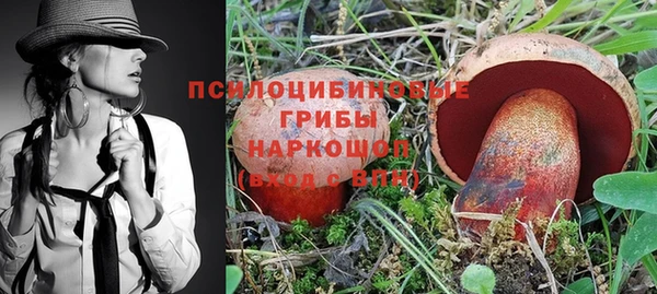 шишки Иннополис