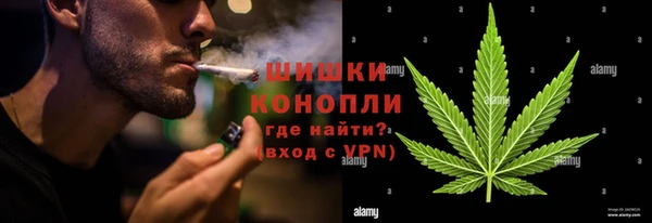 шишки Иннополис