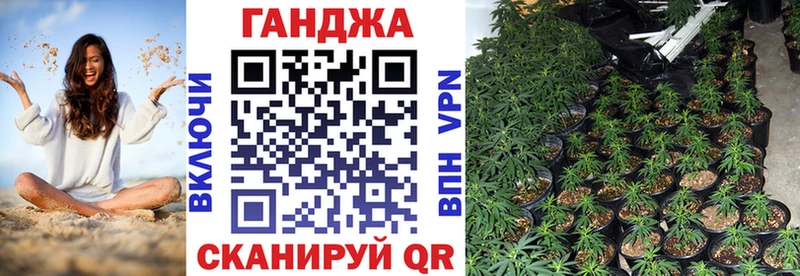 Шишки марихуана гибрид  купить наркотики сайты  Кингисепп 